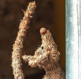 Pance Cama Y Desayuno | Presbytère de Pancé