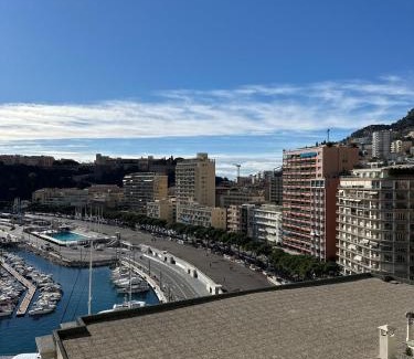 L'Hermitage Apartamento | Prime location-Monaco port
