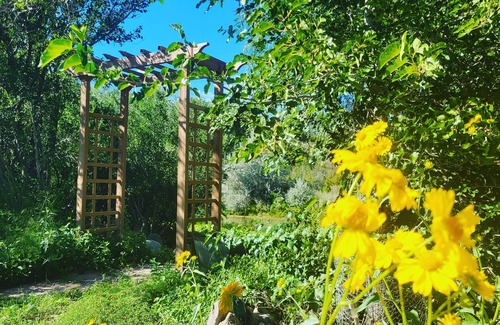 Embudo Casa | Private Beach on Rio Grande Adobe Historical Artist Family Home near Ski Valley