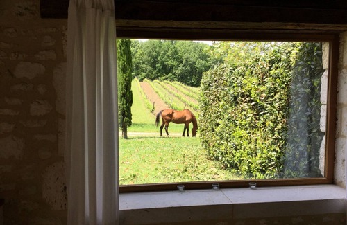Sigoules Casa | Casa rural privada en alquiler en una finca vinícola