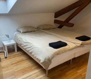 Grunerlokka Apartamento | Private Rom for two in Oslo City center-Main Street-Walking distance