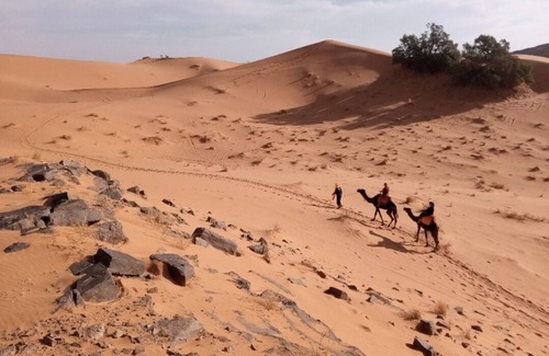 Merzouga Alquiler De RV | Private tent & camel trekking