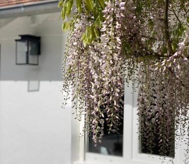 Vaires-sur-Marne Villa | Proche Paris et Disney-calme absolu