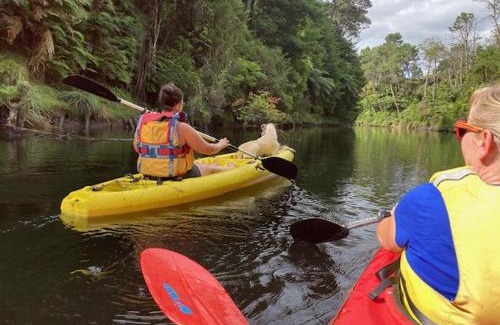 Omanawa Apartamento | Punga Grove