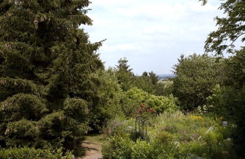 Winterspelt Casa | Habitación Cuádruple - Hotel-Restaurant Haus Hubertus