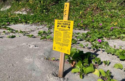 Tropic Casa | Quaint Coastal Pool Home on Florida's Space Coast