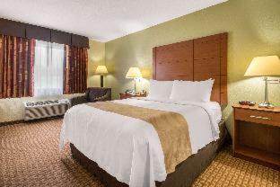 Wisconsin Dells Hotel | Quality Inn & Suites Wisconsin Dells Downtown - Waterparks Area