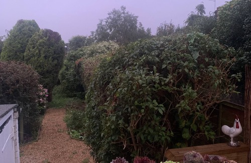 Salisbury Casa | Queens Cottage Salisbury ~ for a memorable stay