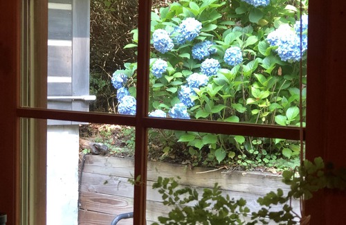 Boone Cabaña | Quiet, Charming Cottage in the Mountains of NC