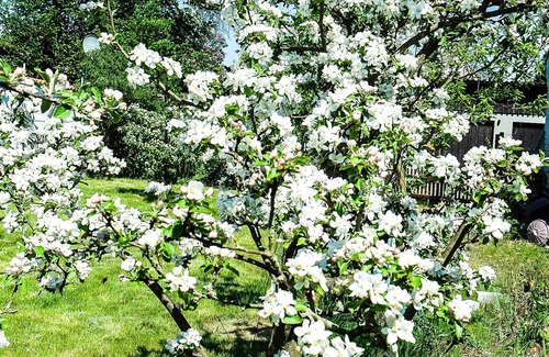 Celle Apartamento | Tranquilo y cómodo en el campo, los deportes y los objetivos culturales, PRECIO, DE INTRODUCCIÓN