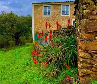 Portalegre Villa | Quinta Castanheiro da Penha - Alegrete - Portalegre - Alentejo