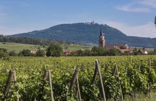 Bergheim Apartamento | Résidence Odalys Le Domaine des Rois