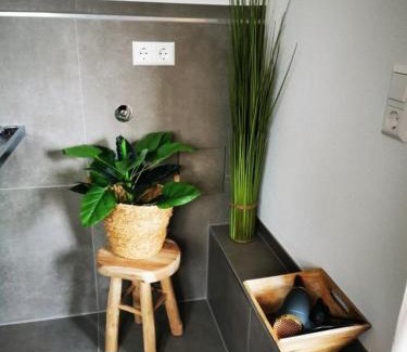 Schlier Apartamento | Rösslerhof Ferienwohnung Rösslerweiher