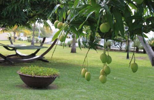 The Lime Hotel | Radisson Grenada Beach Resort