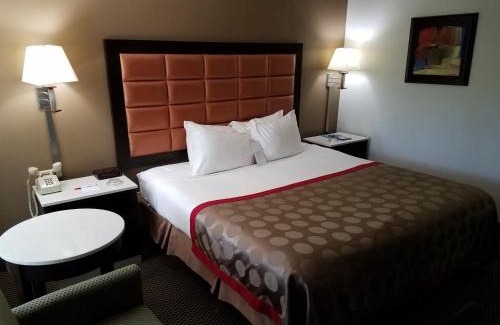 Temple Terrace Hotel | Ramada by Wyndham Temple Terrace/Tampa North