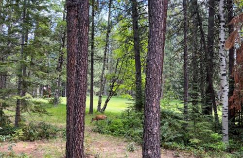 Black Butte Ranch Apartamento | Ranch Retreat #30