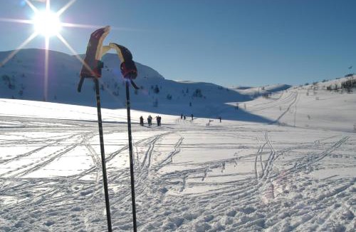Rauland Hotel | Rauland Høgfjellshotell