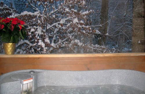 Altamont Cabina | Romántico y acogedor 1BR 'Real Log Cabin' Riverside con bañera de hidromasaje, chimenea + (4 personas)