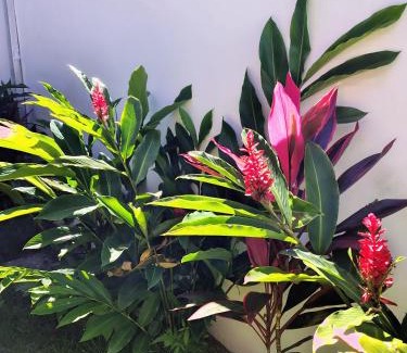 Porto Novo Casa | Recanto com piscina em Caraguatatuba - São Sebastião