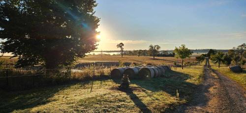 Walcha Casa | Red Hill Cabin #1 Walcha