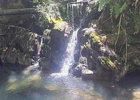 Bonito Casa | Refúgio Exclusivo no Meio da Natureza