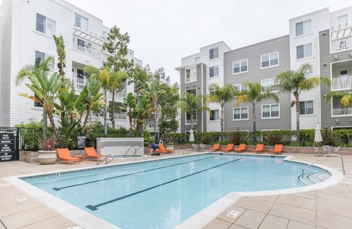 Central San Mateo Apartamento | Refined 1BR in Sunny San Mateo