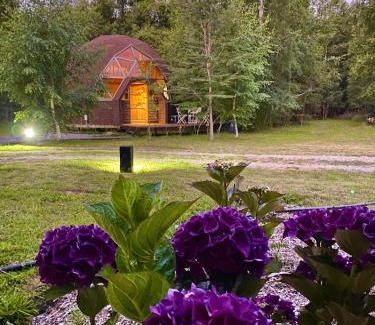 Llifen Apartamento | Refugios del Ranco