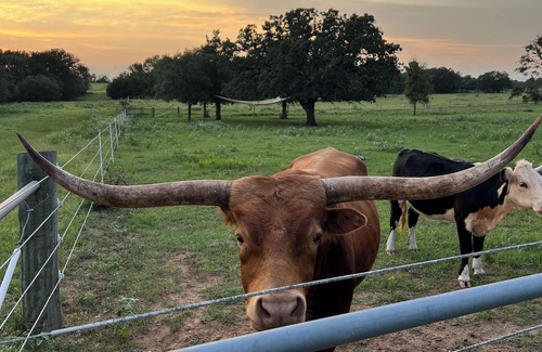 Cedar Creek Cabina | Relaxing stay on a Modern Ranch