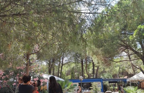 Marina di Sibari Villa | Rent for the summer period renovated cottage 5 minutes from the sea