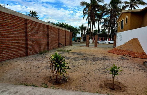 Puerto San Carlos Apartamento | Renta por dia, por semana, (Con tarifas especiales para rentas por mes o año).