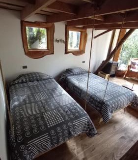 Pucon Cabina | Reserva Nido del Chucao