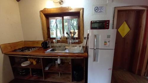 Pucon Cabina | Reserva Nido del Chucao