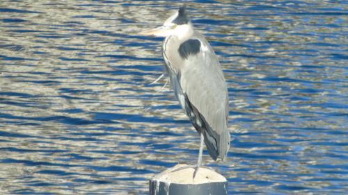 Cassano allo Ionio Apartamento | Residence La Bricola 239