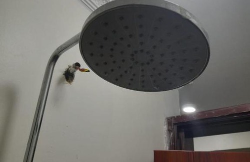 Nairobi Cama Y Desayuno | rest villas2