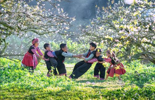 Moc Chau Casa | Retreat Home Bản Dọi Mộc Châu