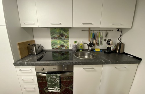 Alto Malcantone Cabaña | Retreat in nature:relax, walks, MT trails from the house, fireplace, WIFI