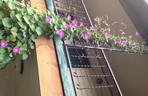 Bryson City Hotel | Ridge Top Motel - Bryson City