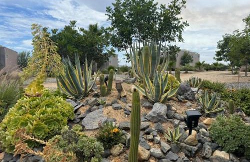 Valle de Guadalupe Cabina | Rincón del Corazón