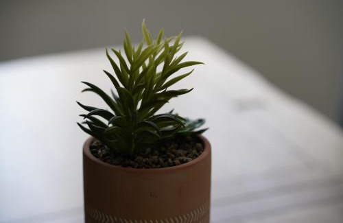 Risca Casa | Risca Retreat