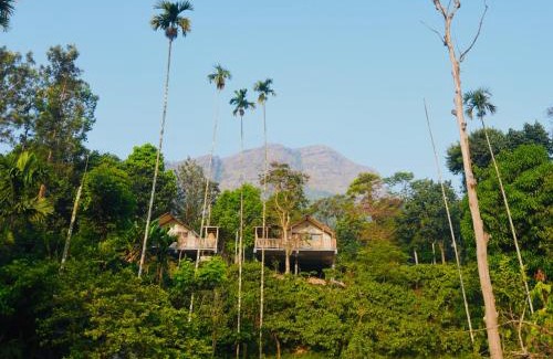 Samse Complejo | River Mist Resort