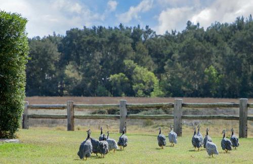 Cudgegong Apartamento | Riverlea Cottage