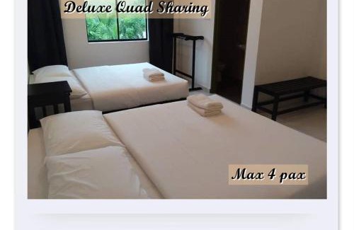 Sungai Lembing Hotel | RIVERSIDE PALM INN SG LEMBING