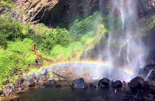 Sungai Lembing Hotel | RIVERSIDE PALM INN SG LEMBING