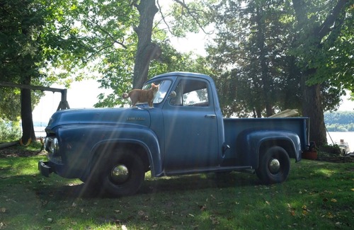 Idlewild Cabaña | Se admiten perros - Acogedor, Door County, WI Retiro ~ 250 pies desde el borde del agua ↟↟↟