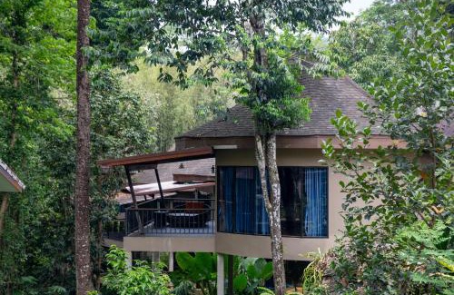 Khlong Sok Complejo | Rock and Tree House Resort