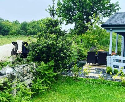 Downpatrick Casa | Rockschapel Cabin 30B