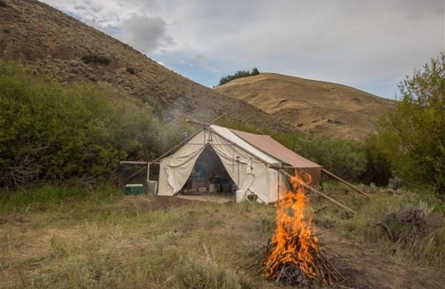 Custer County Cabina | Campo de Rocky Mountain Elk