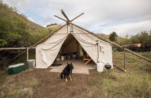 Custer County Cabina | Campo de Rocky Mountain Elk