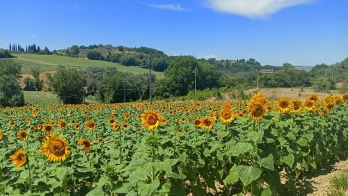 Deruta Apartamento | Romantic suite in the village of Castelleone, vicino Deruta, Assisi, Perugia, Montefalco