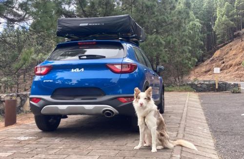 Radazul Otro | Rooftop tent - The best views of the island